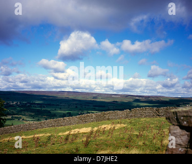 Vue sur Wensleydale sur les pentes de l'Ouest au-dessus de la balise Penhill Burton Wensleydale Yorkshire Dales England Banque D'Images