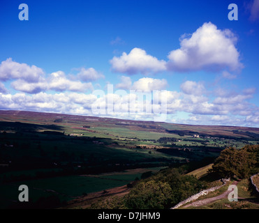 Vue sur Wensleydale sur les pentes de l'Ouest au-dessus de la balise Penhill Burton Wensleydale Yorkshire Dales England Banque D'Images