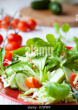 Salade fraîche avec les verts et les tomates, de l'alimentation Banque D'Images