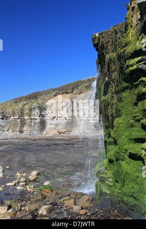 En cascade, Smedmore Kimmeridge Bay Estate, à l'île de Purbeck, Dorset, Angleterre, Grande-Bretagne, Royaume-Uni, UK, Europe Banque D'Images