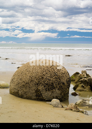 Vue de la Moeraki Boulders, près de Moeraki, Otago, Nouvelle-Zélande Banque D'Images