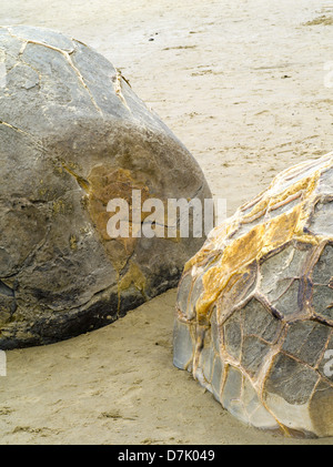 Vue de la Moeraki Boulders, près de Moeraki, Otago, Nouvelle-Zélande Banque D'Images