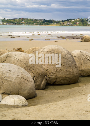 Vue de la Moeraki Boulders, près de Moeraki, Otago, Nouvelle-Zélande Banque D'Images