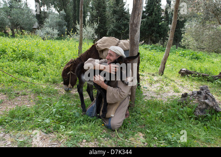 L'âne et le poulain à la reconstruction d'un premier siècle village israélien à Nazareth Banque D'Images