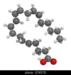 L'acide arachidonique (AA, ARA) acides gras polyinsaturés oméga-6, le modèle moléculaire. Les atomes sont représentés comme des sphères. Banque D'Images