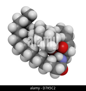 Les lipides membranaires des cellules de la céramide, le modèle moléculaire. Les atomes sont représentés comme des sphères avec codage couleur classiques Banque D'Images