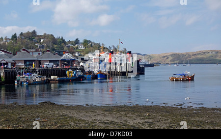 Navire de croisière à voile colonie de phoques ayant pris sur les passagers au port d'Oban en Écosse Bute et Argyle Banque D'Images