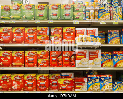 Food Lion Épicerie en Caroline du Sud, USA Banque D'Images