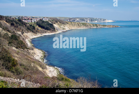 La baie de Durlston, falaises, Point de Peveril, Ballard vers le bas, l'avant-pays, de tête de Durlston, Dorset, England, UK. L'Europe Banque D'Images