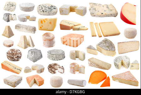 Composition de différents fromages in front of white background Banque D'Images