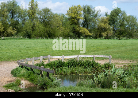 Un petit étang gardé par des clôtures en bois, dans un champ avec des arbres en arrière-plan. Banque D'Images