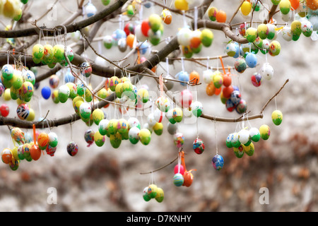 Easter eggs hanging on tree Banque D'Images