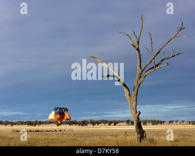 Skywhale Canberra, le ballon vole à basse altitude au-dessus du centenaire un champ dans l'ouest de Victoria au cours de son premier vol. Banque D'Images