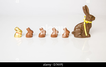 Grand lapin de Pâques en chocolat avec des petits lapins en chocolat alignés dans une rangée. Studio isolé sur blanc avec réflexion. Partie d'une série. Banque D'Images