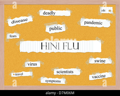 H1N1 Concept Mot de visages avec beaucoup de termes tels que maladie, pandémie, porcins et plus encore. Banque D'Images