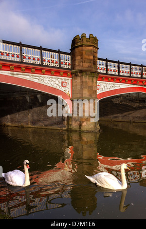 Cygnes sur la rivière Soar par Victorian West Bridge, Leicester, England, UK Banque D'Images