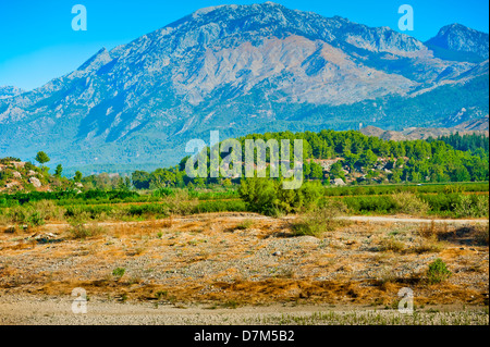 Collines vertes de la montagne en arrière-plan. La Turquie. Banque D'Images