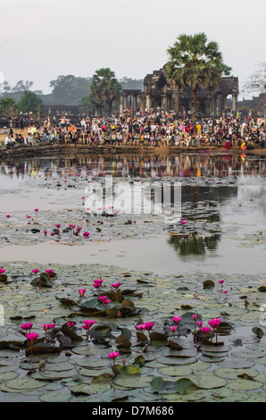 Rassemblement des touristes de photographier le lever du soleil. Angkor Wat. Parc archéologique d'Angkor. Siem Reap. Cambodge Banque D'Images