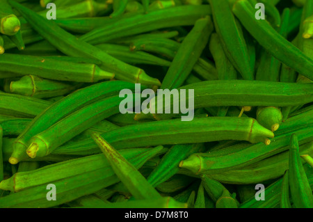 Matières premières fraîches Lady Finger Vert Okra Banque D'Images