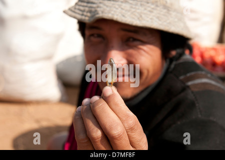 Un homme nous tend un petit poisson séché dans ses doigts marché Inthein le Myanmar (Birmanie) Banque D'Images
