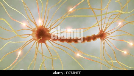 Cellule nerveuse, artwork Banque D'Images