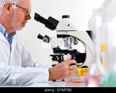 À l'aide d'un microscope optique scientifique Banque D'Images