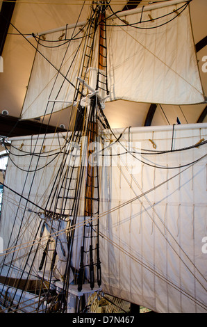 Le Massachusetts, New Bedford. New Bedford Whaling Museum, 89 pieds de la moitié de l'échelle de l'écorce à la baleine modèle Lagoda. Banque D'Images