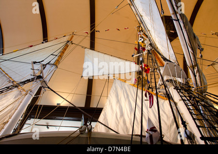 Le Massachusetts, New Bedford. New Bedford Whaling Museum, 89 pieds de la moitié de l'échelle de l'écorce à la baleine modèle Lagoda. Banque D'Images