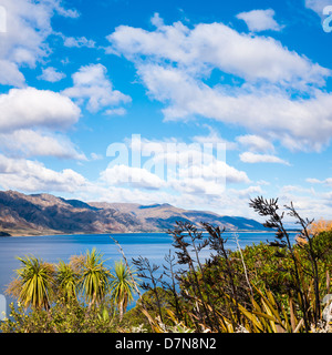 Lake Hawea, dans l'île du sud de la Nouvelle-Zélande, avec des arbres et du chou le lin dans l'avant-plan. Banque D'Images