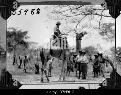 Cette image montre un homme à dos de chameau lors de l'expédition abyssinienne en Afrique de 1926-1927. La photographie capture l'essence de l'exploration africaine et l'utilisation des chameaux pour le transport dans la région désertique. Banque D'Images