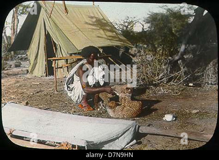 L'homme de Somalie à jouer avec deux oursons cheetah Banque D'Images