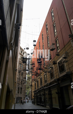 L'installation d'art avec les cages à oiseaux à Sydney, Australie L'allée Banque D'Images