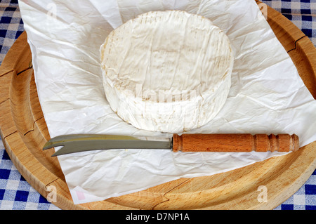 Ensemble French Camembert sur une planche à découper en bois rond. Banque D'Images