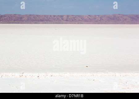 Chott el Jerid Salt Lake près de Tozeur, Tunisie Banque D'Images