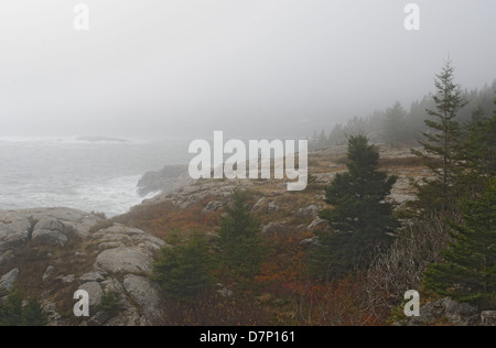 L'ouragan Sandy à l'Acadia National Park, Maine. Banque D'Images