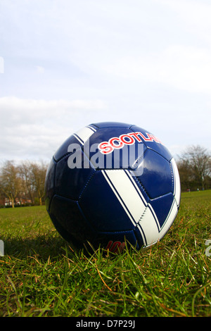 L'Écosse de football en cuir de marque sur l'herbe Banque D'Images