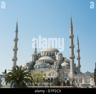 Vue de la célèbre Mosquée bleue Sultan Ahmet Cami à Istanbul Turquie Banque D'Images