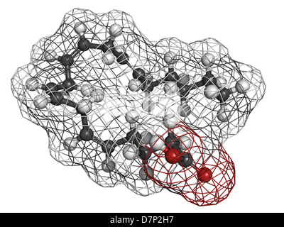 L'acide arachidonique (AA, ARA) acides gras polyinsaturés oméga-6, le modèle moléculaire. Les atomes sont représentés comme des sphères. Banque D'Images