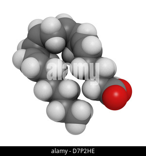 L'acide arachidonique (AA, ARA) acides gras polyinsaturés oméga-6, le modèle moléculaire. Les atomes sont représentés comme des sphères. Banque D'Images