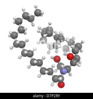 Les lipides membranaires des cellules de la céramide, le modèle moléculaire. Les atomes sont représentés comme des sphères avec codage couleur classiques Banque D'Images