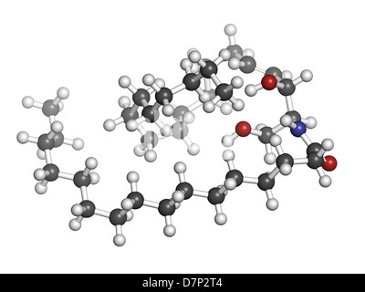 Les lipides membranaires des cellules de la céramide, le modèle moléculaire. Les atomes sont représentés comme des sphères avec codage couleur classiques Banque D'Images