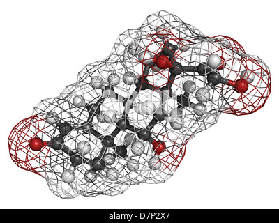 Le Cortisol (hydrocortisone) hormone de stress, le modèle moléculaire. Les atomes sont représentés comme des sphères avec codage couleur classiques Banque D'Images