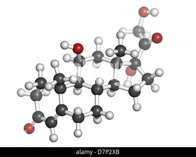 Le Cortisol (hydrocortisone) hormone de stress, le modèle moléculaire. Les atomes sont représentés comme des sphères avec codage couleur classiques Banque D'Images