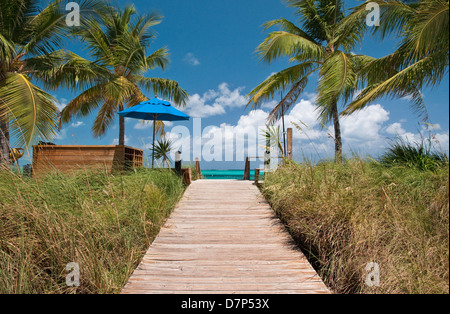 Allée menant à la plage de Grace Bay, Providenciales, Îles Turques et Caïques Banque D'Images