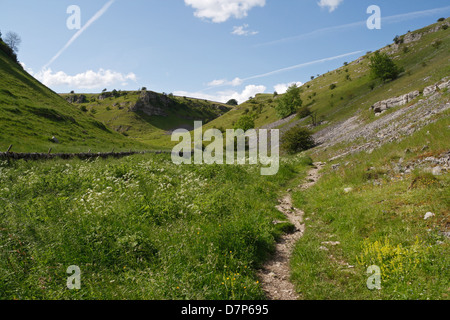 Lathkill Dale dans le parc national du Derbyshire Peak District en Angleterre. Paysage pittoresque de la campagne anglaise, campagne britannique Banque D'Images