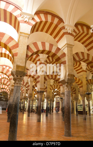 Arcades du mirhab de la mosquée de Cordoue, en Espagne. Banque D'Images