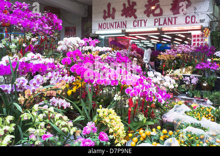 dh marché aux fleurs MONG KOK HONG KONG Chinois nouvel an fleurs décoration marché stand exposition mongkok fleuriste extérieur chine Banque D'Images