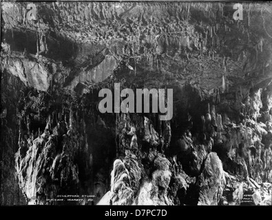 Une photographie en noir et blanc de l'atelier du sculpteur à Old Cave, Wombeyan, mettant en valeur l'environnement unique de l'Outback. Cette image capture le studio d'art dans la structure naturelle de la grotte, reflétant l'intersection de l'art et de la nature dans l'outback australien. Banque D'Images