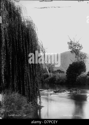 Cette photographie historique prise en 1900 capture la rivière Tumut en Australie, avec des oiseaux aquatiques et des saules pleurants le long de ses rives. Il offre un aperçu de la beauté naturelle et des paysages de la région, conservés dans la collection du Powerhouse Museum. Banque D'Images