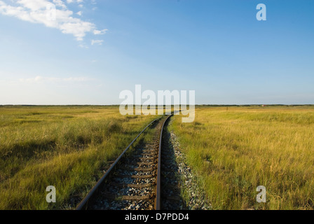 Les voies de l'île, Wangerooger de fer à voie étroite, Wangerooger Insel-Schmalspurbahn Bahngleise der Banque D'Images